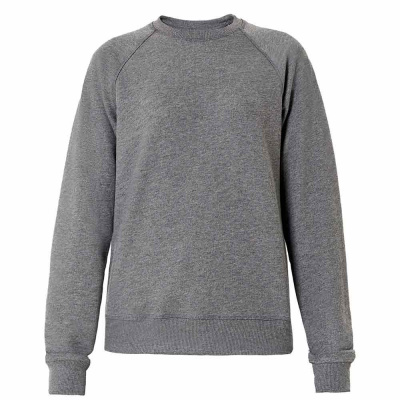 Женский свитшот ARCTIC. Цвет: Серый